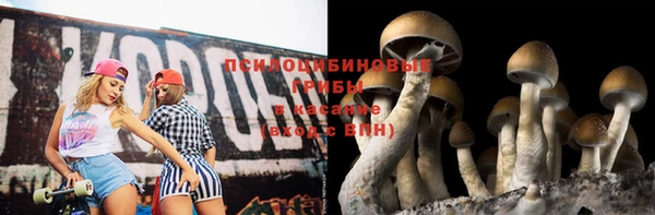 мдма Приозерск
