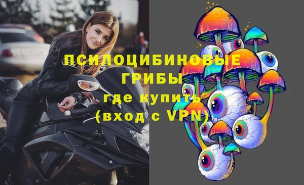 ешки Пролетарск