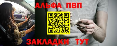 стафф Бердск