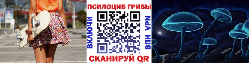 ссылка на мегу как зайти  Карасук  Псилоцибиновые грибы Cubensis 